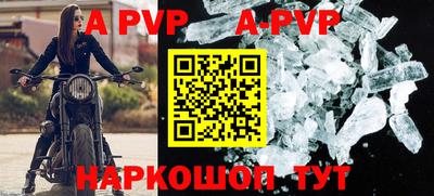 ешки Майкоп