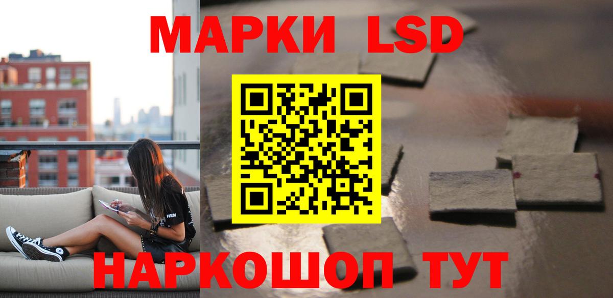 МЕФ Карачаевск