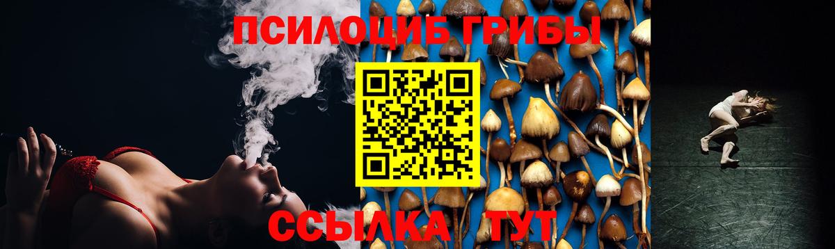 Псилоцибиновые грибы MAGIC MUSHROOMS  наркошоп  Псилоцибиновые грибы GOLDEN TEACHER  Карачаевск  Вход с VPN 